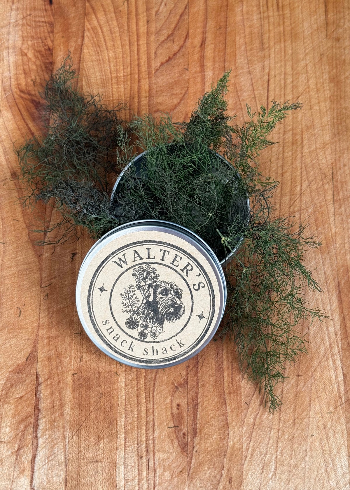 Fennel Fronds