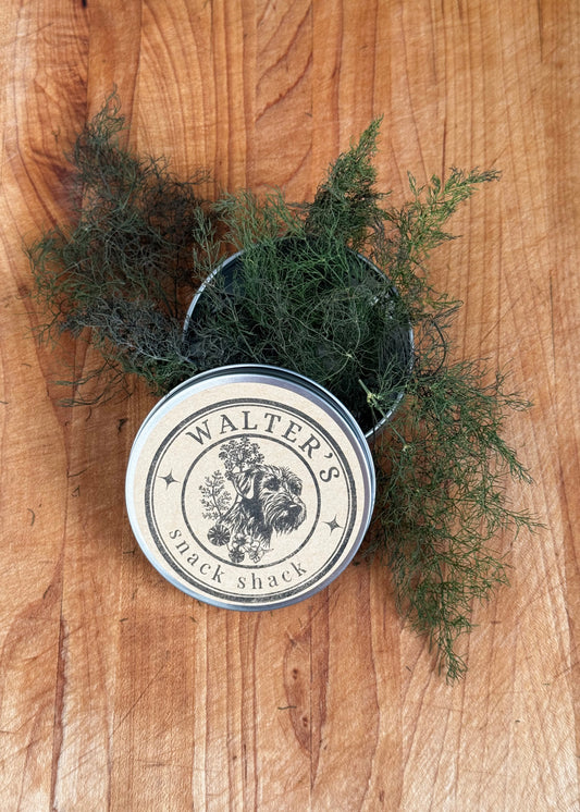Fennel Fronds