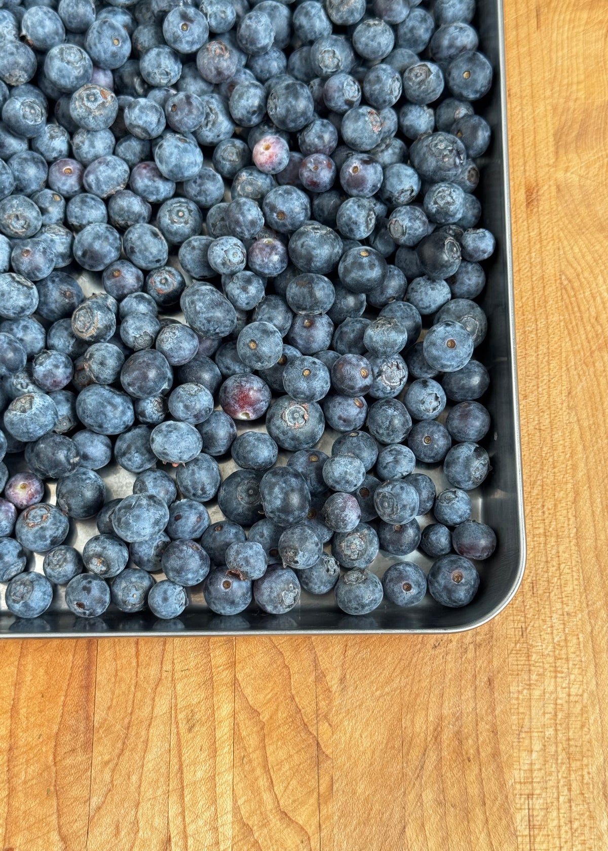 Anchovy & Blueberry