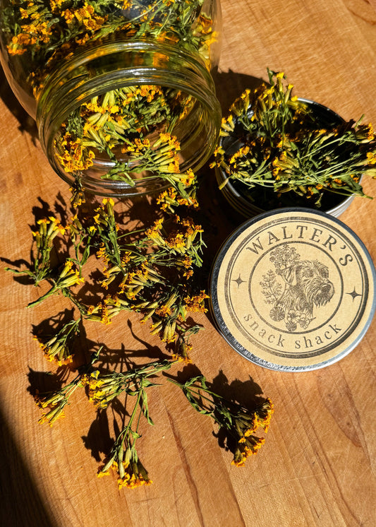 Mexican Mint Marigold