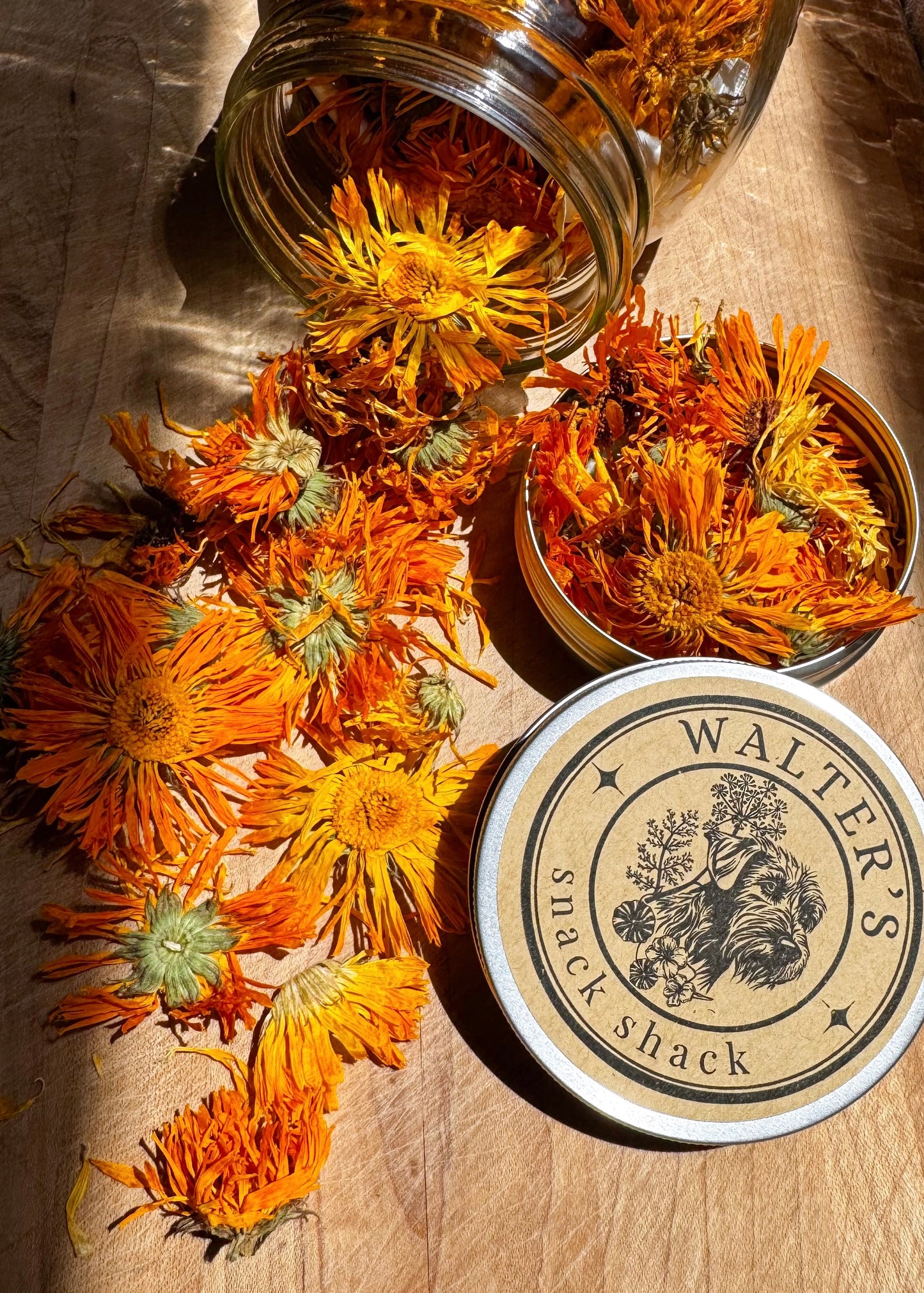 Calendula