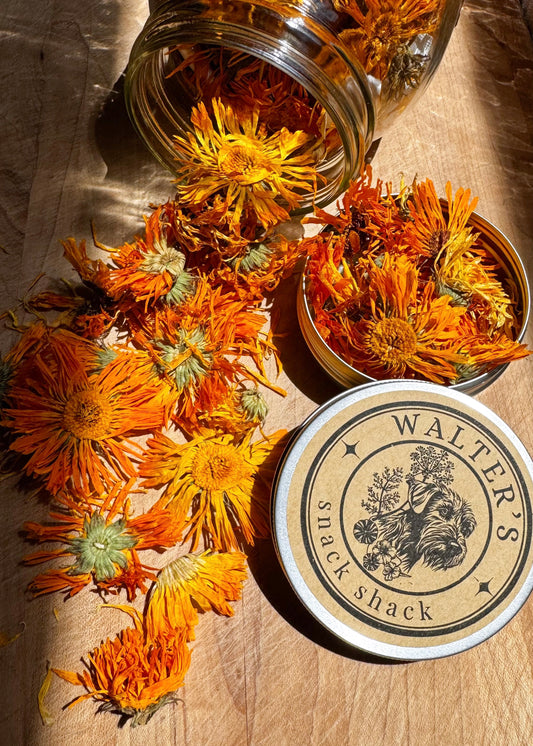 Calendula