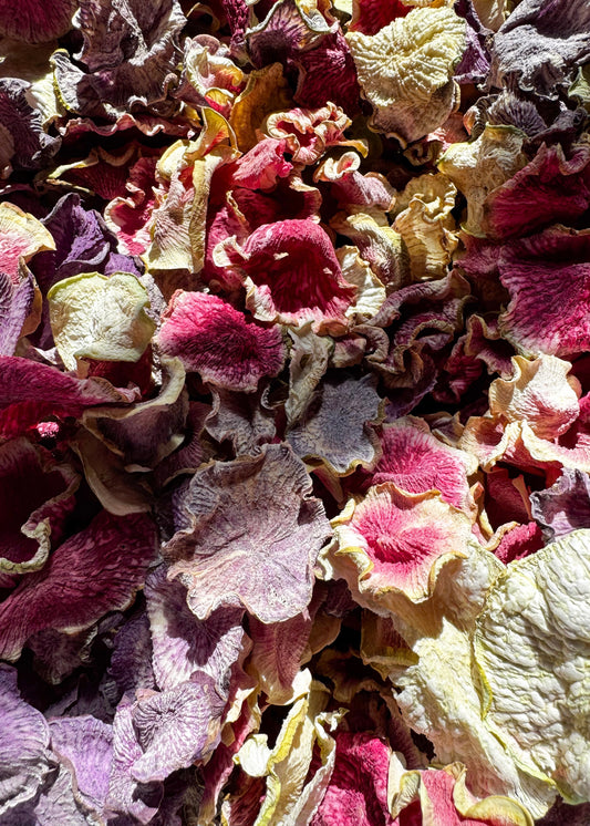 Radish Mix