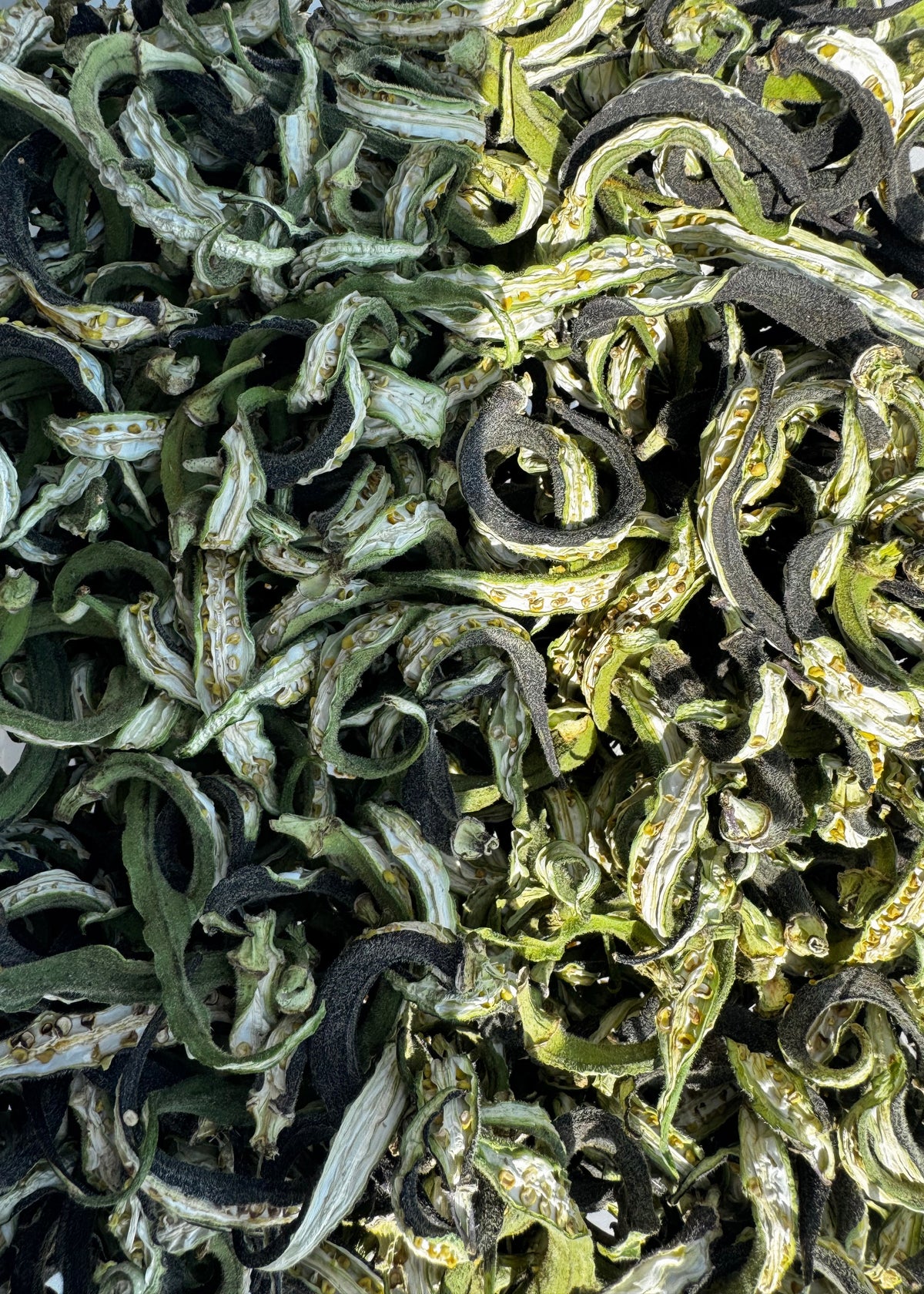 Okra