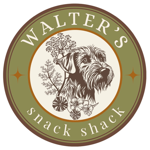 Walter’s Snack Shack